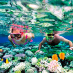 Riviera Maya Snorkeling Tour