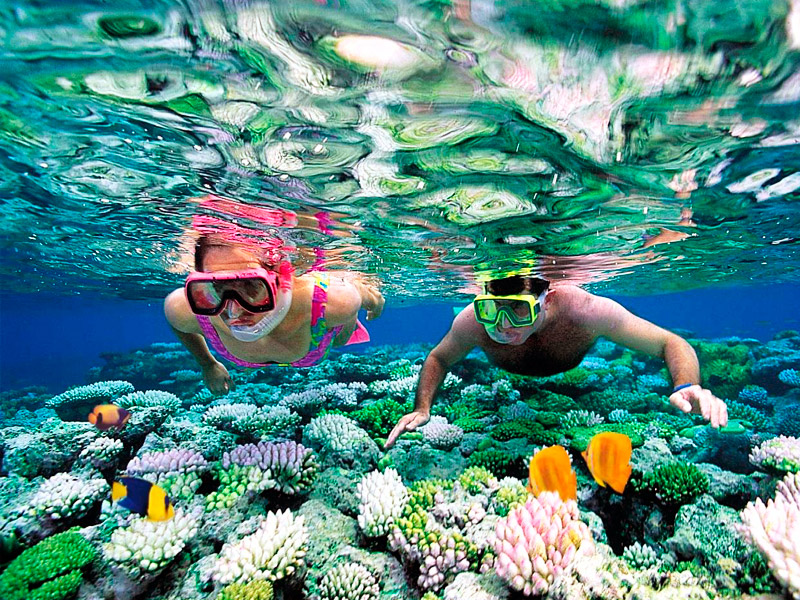 Riviera Maya Snorkeling Tour