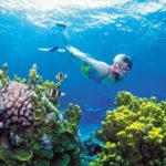 Riviera Maya Snorkeling Tour