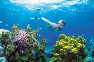 Riviera Maya Snorkeling Tour