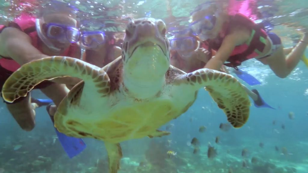 Riviera Maya Snorkeling Tour