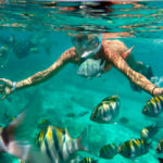 Riviera Maya Snorkeling Tour