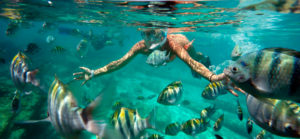 Riviera Maya Snorkeling Tour