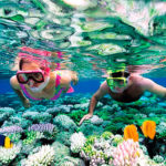 Riviera Maya Snorkeling Tour