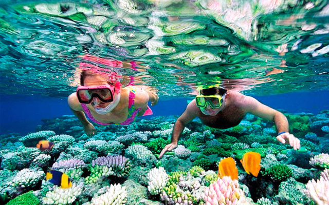 Riviera Maya Snorkeling Tour