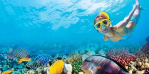 Puerto Morelos Snorkeling