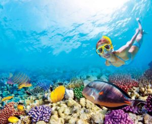 Puerto Morelos Snorkeling