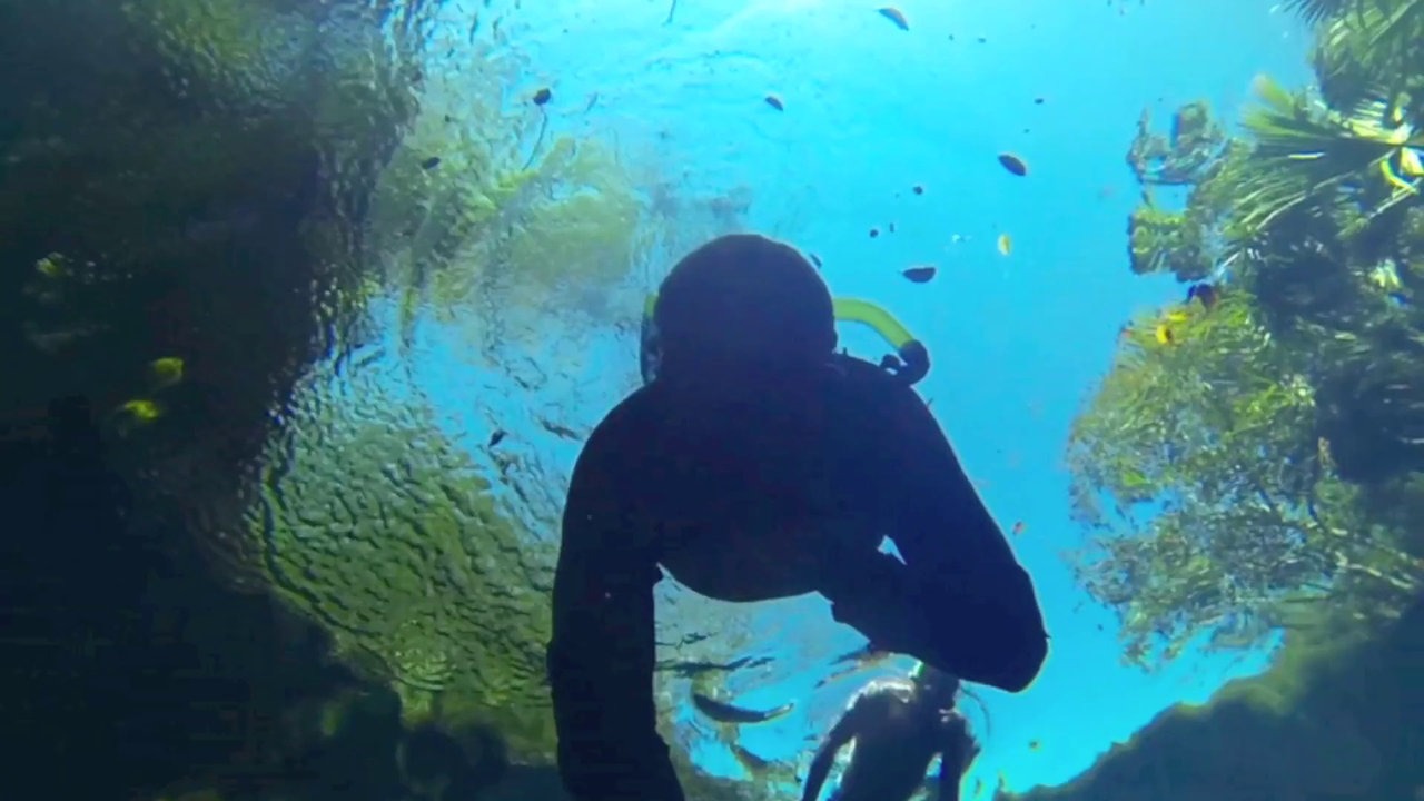 XpuHa Snorkeling Riviera Maya