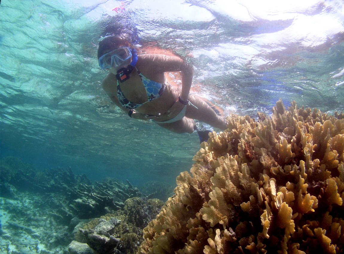Snorkeling en Xcacel Riviera Maya Snorkeling en Xcacel Riviera Maya