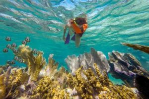 snorkeling in puerto morelos