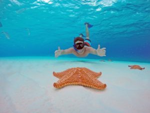 snorkeling in cozumel el cielo