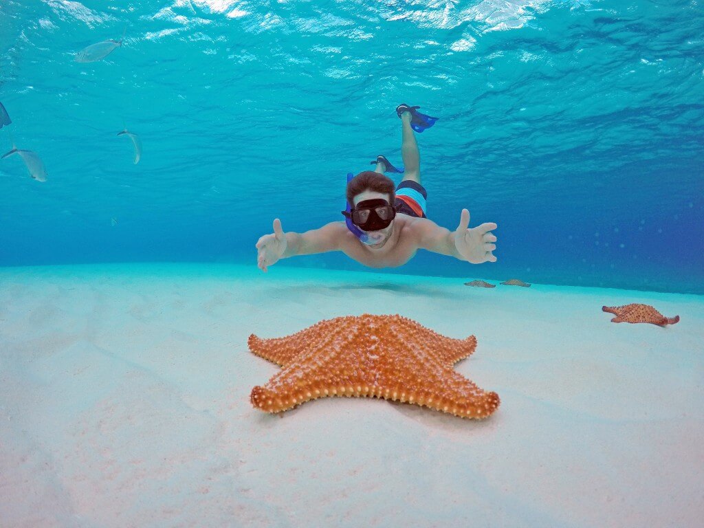 starfish at el cielo cozumel