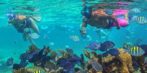 snorkeling in cancun