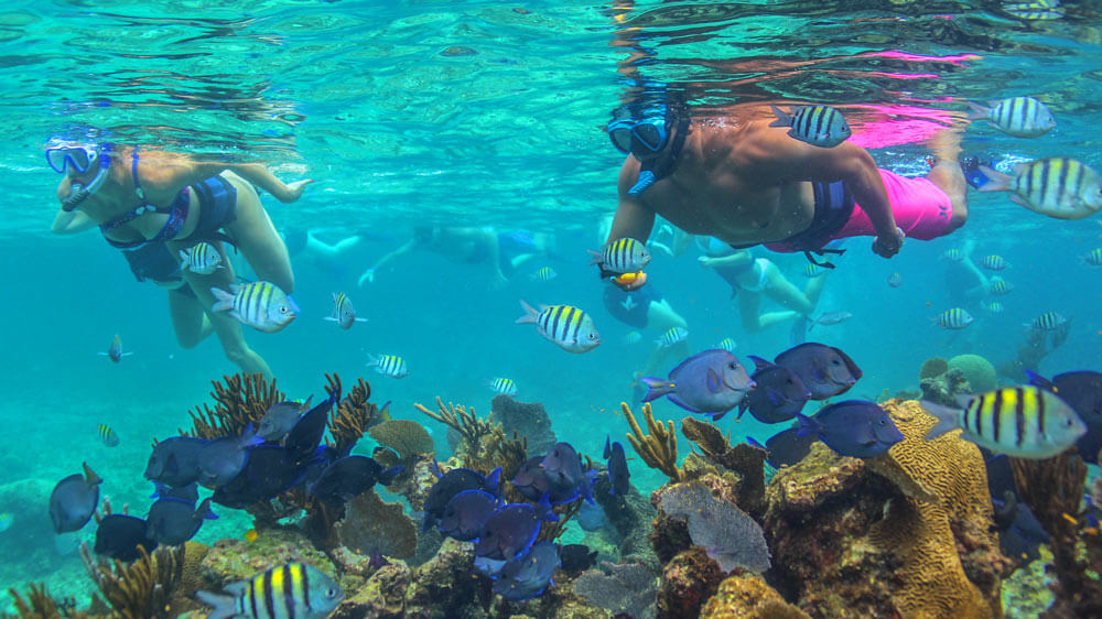 snorkeling in cancun